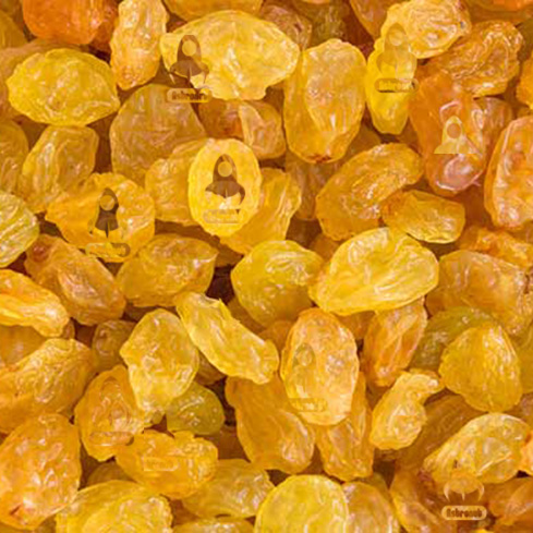 Golden Raisins Astronutfood